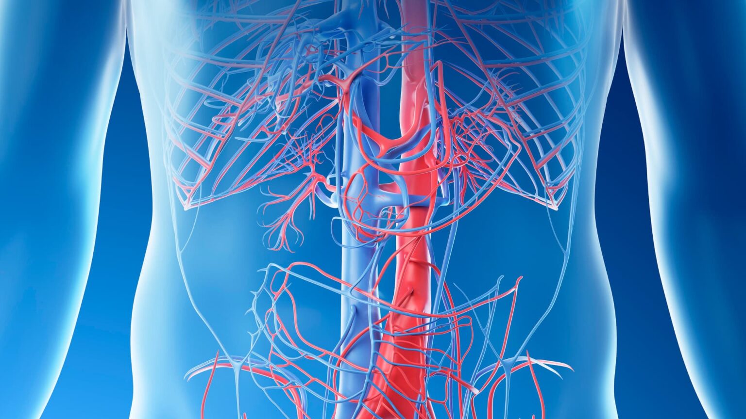 Reparación de Aneurismas Aórticos clasica y endovascular – Vascular Pro
